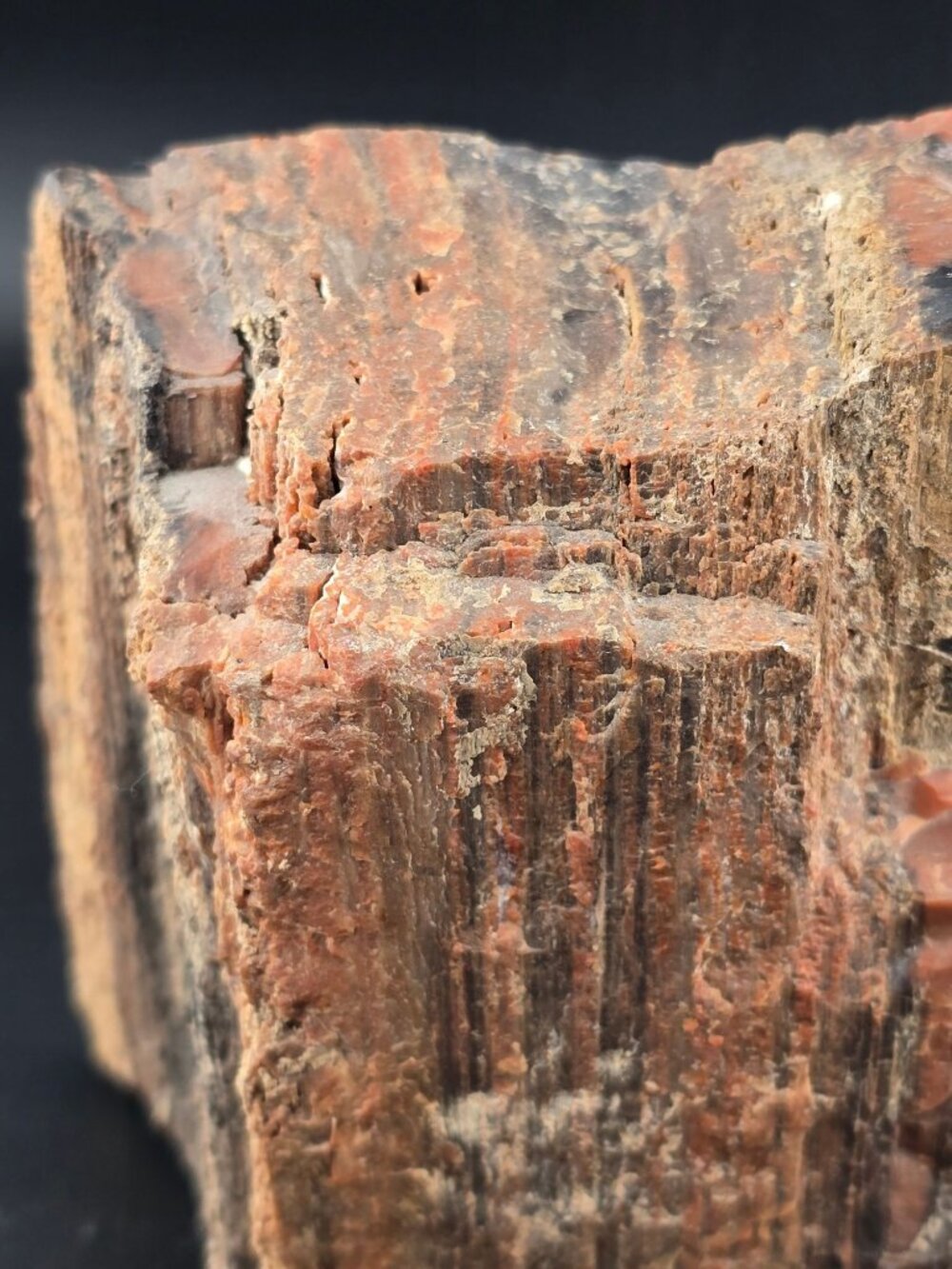 Petrified Wood Fossil Specimen With Rich Red & Black Hues, Polished/Raw -2.1 lbs - Picture 6 of 16